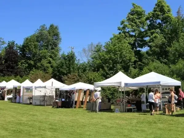 ပြပွဲတဲများ၏အသုံးပြုမှု